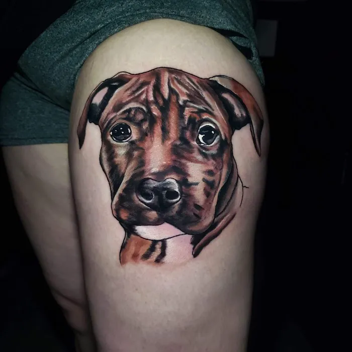 Steel Rhino Tattoo Studio 2