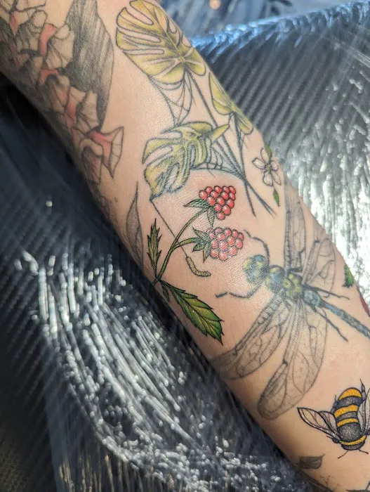 Heath Studios & Tattoo 0