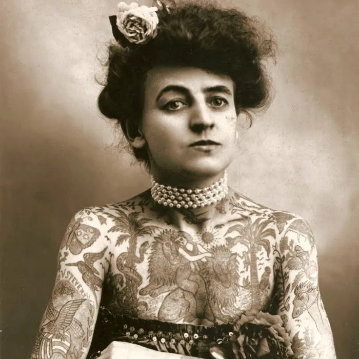The Tattooed Lady LLC 8