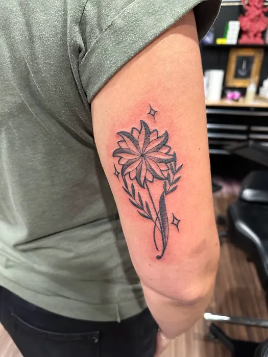Black Rose Studio 0