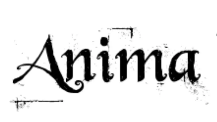 Anima Body Art 0