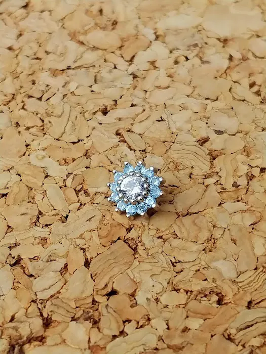 Steel N Ink Body Piercing 6
