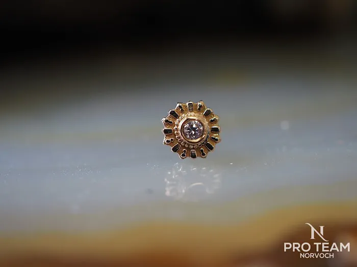 Steel N Ink Body Piercing 2