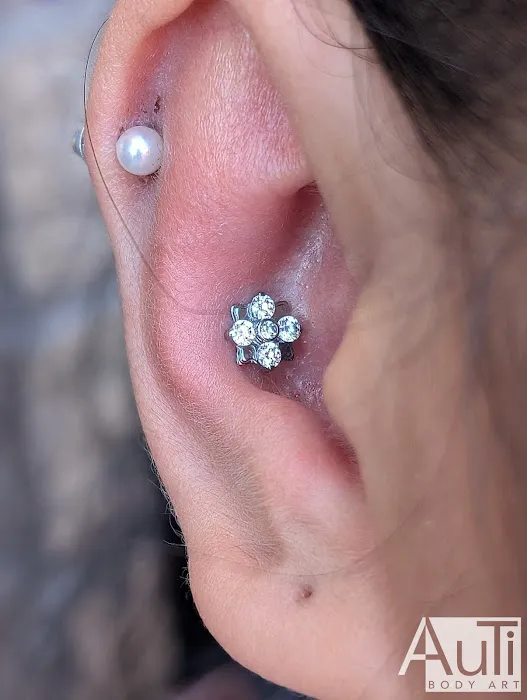 Steel N Ink Body Piercing 5