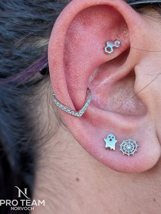 Steel N Ink Body Piercing 4