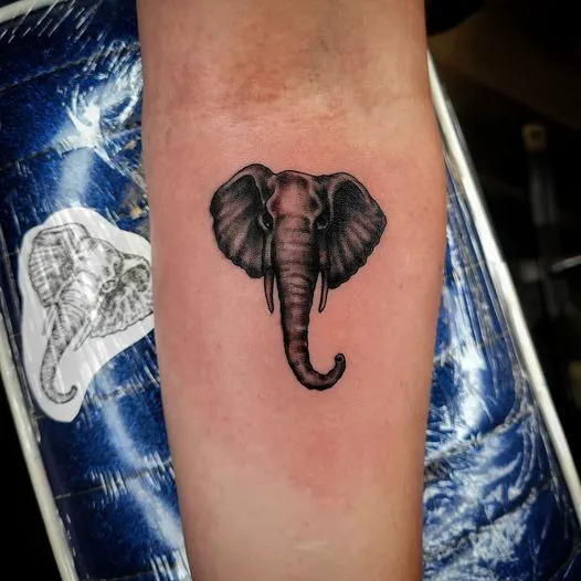 Warrior Tattoo Studio 7
