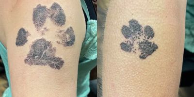 Scarlet Cardinal Tattoo
