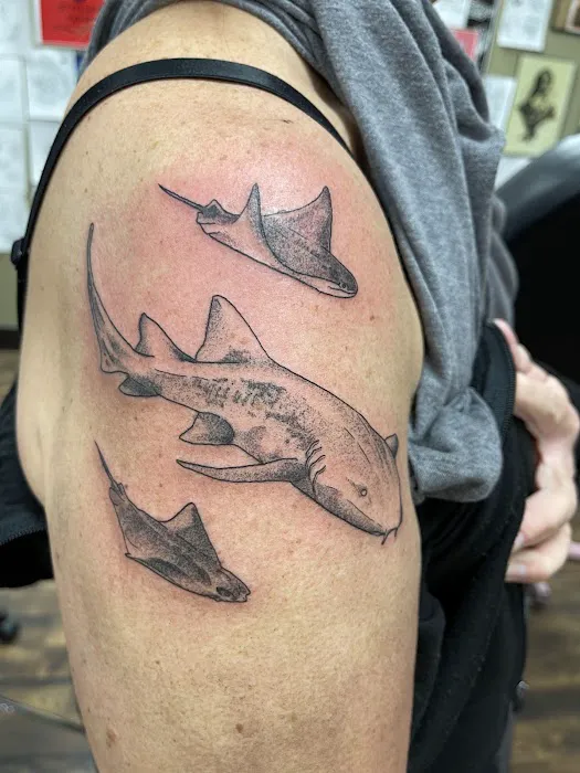 Scarlet Cardinal Tattoo 3